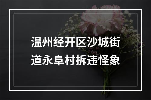 温州经开区沙城街道永阜村拆违怪象