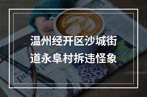 温州经开区沙城街道永阜村拆违怪象
