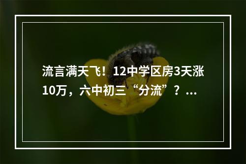 流言满天飞！12中学区房3天涨10万，六中初三“分流”？莫让教育含“金”量 ...