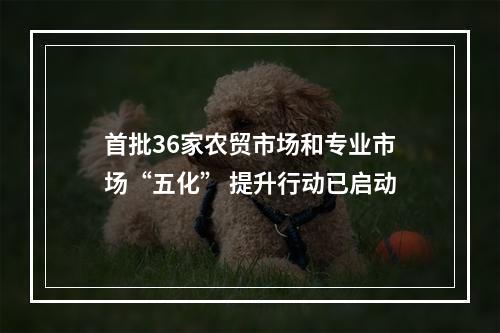 首批36家农贸市场和专业市场“五化” 提升行动已启动