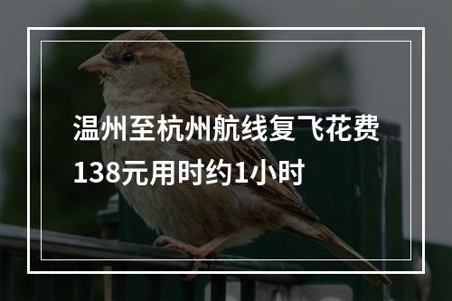 温州至杭州航线复飞花费138元用时约1小时