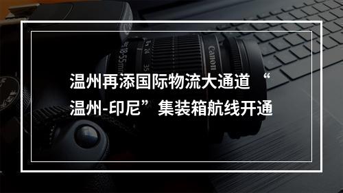 温州再添国际物流大通道 “温州-印尼”集装箱航线开通