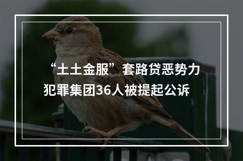 “土土金服”套路贷恶势力犯罪集团36人被提起公诉