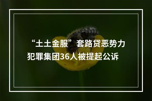 “土土金服”套路贷恶势力犯罪集团36人被提起公诉