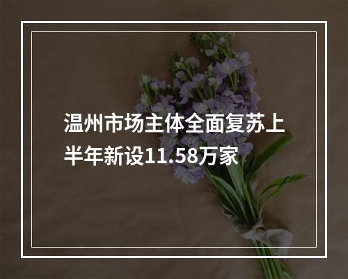 温州市场主体全面复苏上半年新设11.58万家