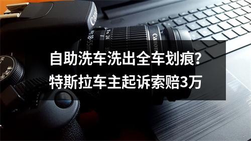 自助洗车洗出全车划痕？特斯拉车主起诉索赔3万