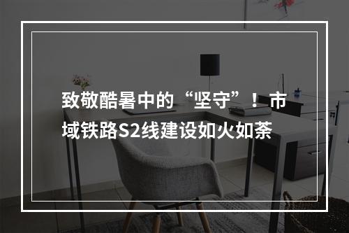 致敬酷暑中的“坚守”！市域铁路S2线建设如火如荼