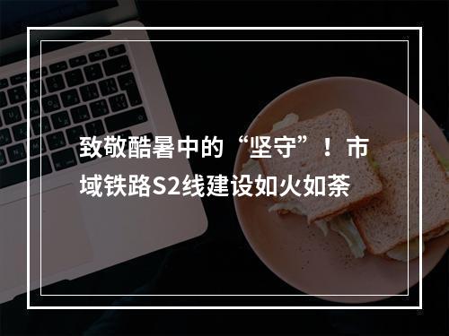 致敬酷暑中的“坚守”！市域铁路S2线建设如火如荼