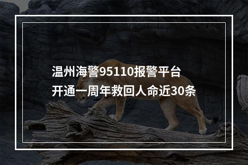 温州海警95110报警平台开通一周年救回人命近30条