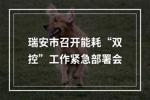 瑞安市召开能耗“双控”工作紧急部署会
