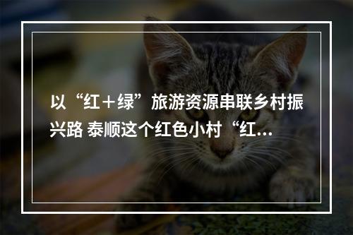 以“红＋绿”旅游资源串联乡村振兴路 泰顺这个红色小村“红”了