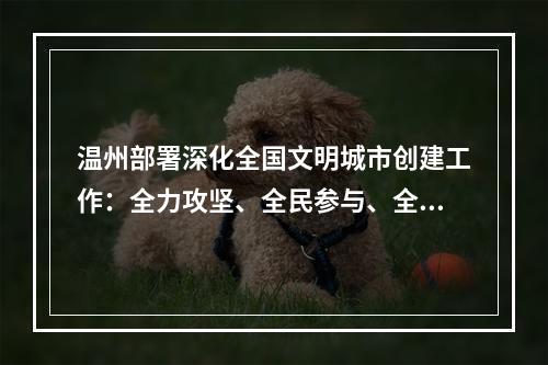 温州部署深化全国文明城市创建工作：全力攻坚、全民参与、全域共创