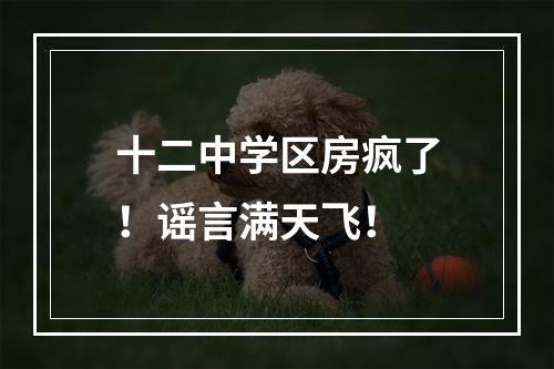 十二中学区房疯了！谣言满天飞！