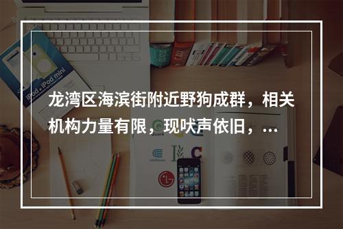 龙湾区海滨街附近野狗成群，相关机构力量有限，现吠声依旧，请来"领养"