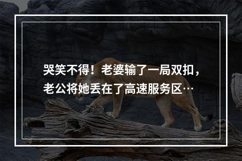 哭笑不得！老婆输了一局双扣，老公将她丢在了高速服务区…