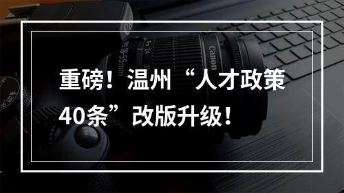 重磅！温州“人才政策40条”改版升级！