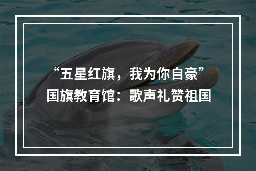 “五星红旗，我为你自豪”国旗教育馆：歌声礼赞祖国