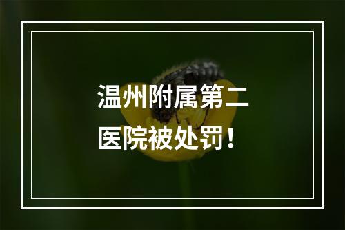 温州附属第二医院被处罚！