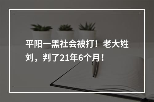 平阳一黑社会被打！老大姓刘，判了21年6个月！
