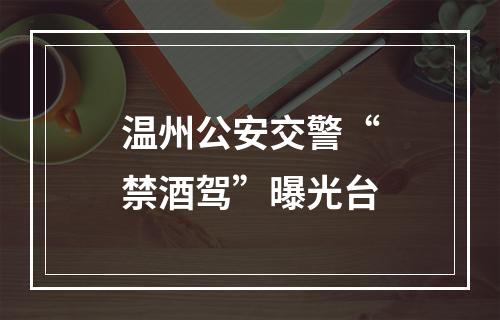 温州公安交警“禁酒驾”曝光台