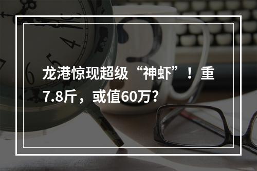龙港惊现超级“神虾”！重7.8斤，或值60万？