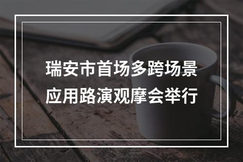 瑞安市首场多跨场景应用路演观摩会举行