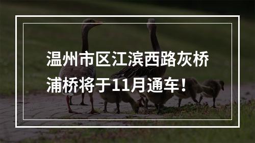 温州市区江滨西路灰桥浦桥将于11月通车！