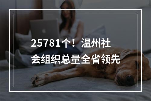25781个！温州社会组织总量全省领先