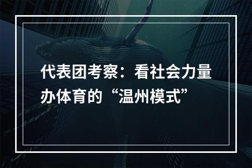 代表团考察：看社会力量办体育的“温州模式”