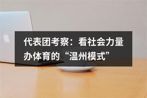 代表团考察：看社会力量办体育的“温州模式”