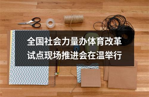 全国社会力量办体育改革试点现场推进会在温举行