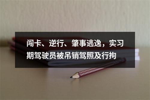 闯卡、逆行、肇事逃逸，实习期驾驶员被吊销驾照及行拘