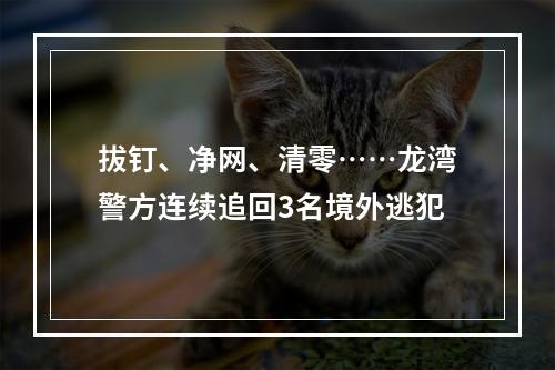 拔钉、净网、清零……龙湾警方连续追回3名境外逃犯