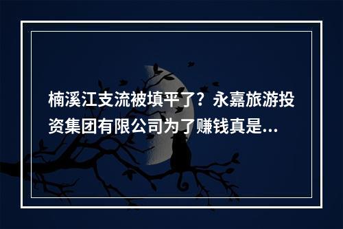 楠溪江支流被填平了？永嘉旅游投资集团有限公司为了赚钱真是什么事都干得出来啊！