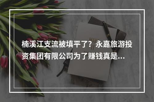 楠溪江支流被填平了？永嘉旅游投资集团有限公司为了赚钱真是什么事都干得出来啊！