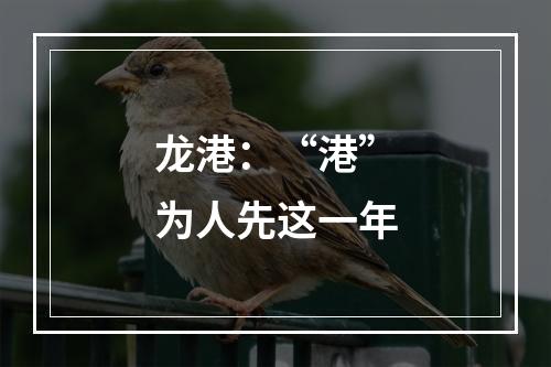 龙港：“港”为人先这一年