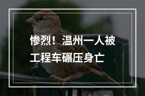 惨烈！温州一人被工程车碾压身亡