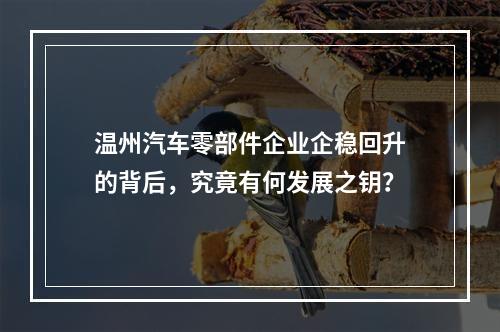 温州汽车零部件企业企稳回升的背后，究竟有何发展之钥？