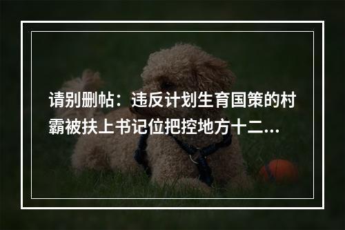 请别删帖：违反计划生育国策的村霸被扶上书记位把控地方十二年公平何在？良序何在？