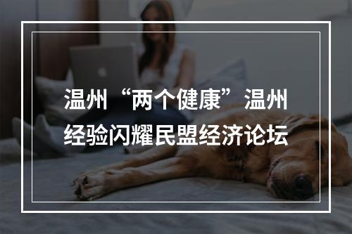温州“两个健康”温州经验闪耀民盟经济论坛
