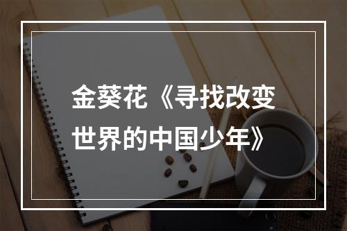 金葵花《寻找改变世界的中国少年》