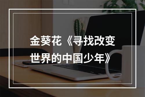 金葵花《寻找改变世界的中国少年》