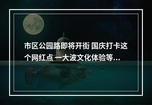 市区公园路即将开街 国庆打卡这个网红点 一大波文化体验等着你