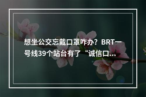 想坐公交忘戴口罩咋办？BRT一号线39个站台有了“诚信口罩”