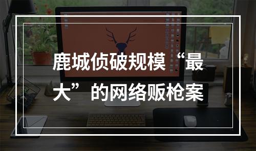 鹿城侦破规模“最大”的网络贩枪案