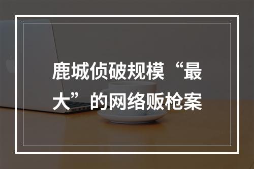 鹿城侦破规模“最大”的网络贩枪案