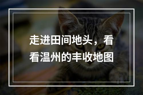 走进田间地头，看看温州的丰收地图