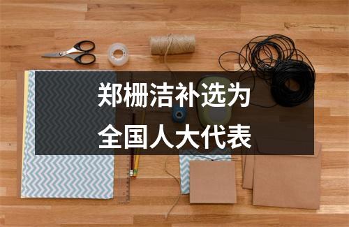 郑栅洁补选为全国人大代表