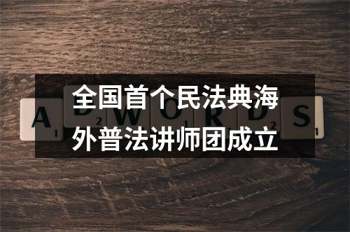 全国首个民法典海外普法讲师团成立