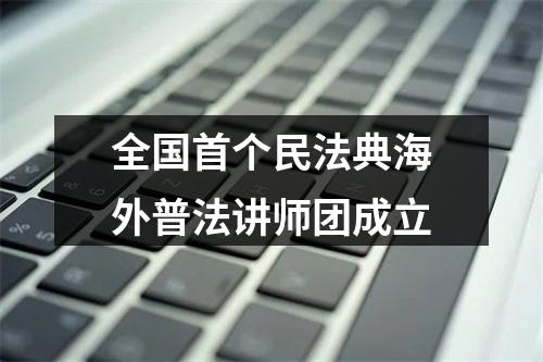 全国首个民法典海外普法讲师团成立